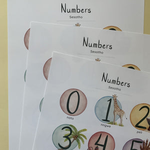 Annanasi Numbers of Africa - Poster in Custom Language - A3